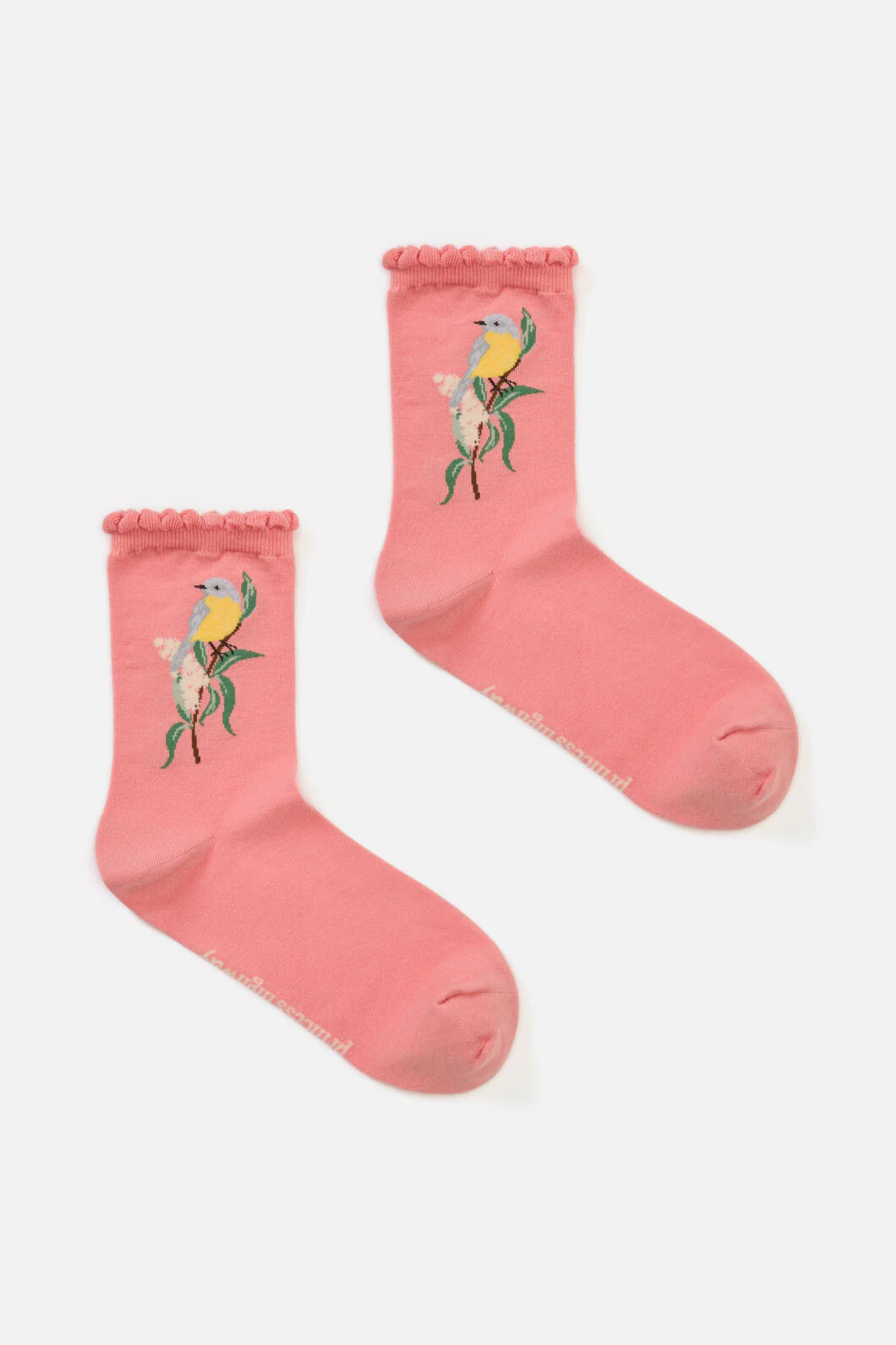 Eastern Yellow Robin Sock